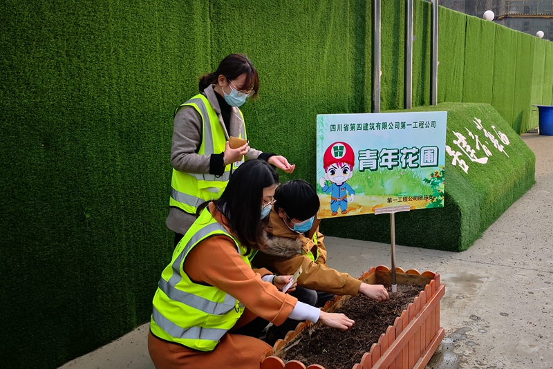 第一工程公司團總支開展“共克時艱 心向花開”種植比賽_副本