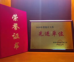 2020年度統(tǒng)計工作先進單位